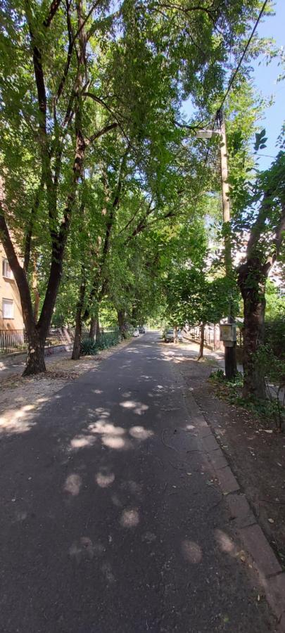 Gabrielle2 apartman Debrecen Esterno foto